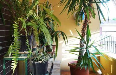 Casa d'artista al mare - Foto 13