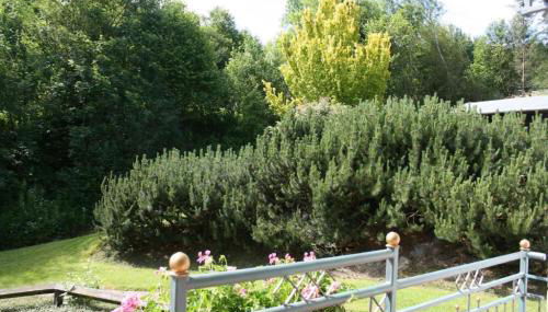 Landhaus Kramer Meine Cardplus inkl - Foto 3