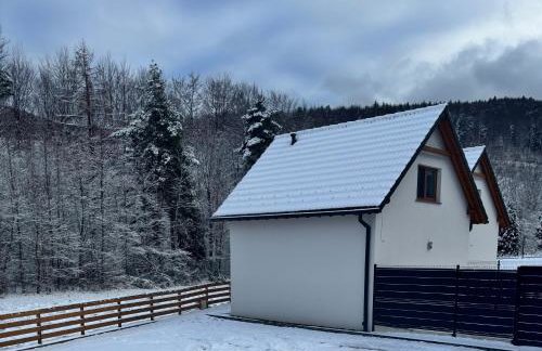 Na Kamieńcu domki - Foto 61