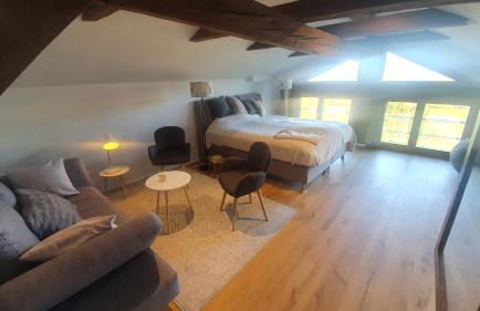 Villa d'exception LA BELLE DES VOSGES 4 étoiles, bain nordique, sauna, billard etc - Foto 19