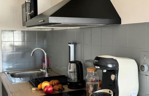 Le Muretain parking gartuit à proximité - Foto 17