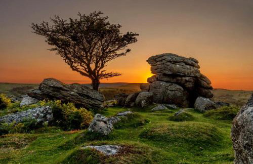 2 Bed in Sticklepath oc-l33312 - Photo 26