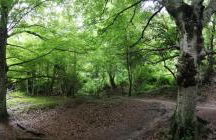 La Madriguera de Tomaso - Foto 45