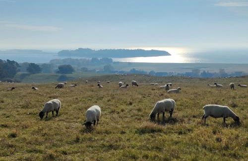 Ferienhaus "Sommerbrise" - Foto 45