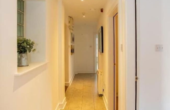 Grafton Street District Apartments - Photo 23