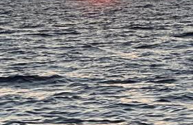 Unique Experience in Sailboat! In The 4 Seasons!! B shi - Photo 2