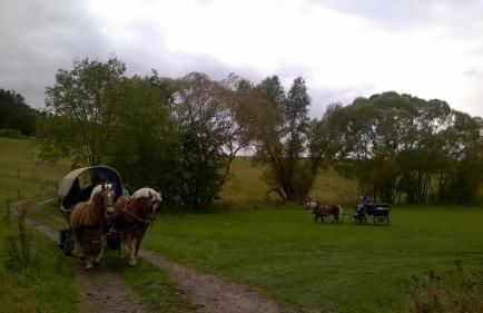 Ferienwohnung Schulze - Photo 29