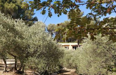 Villa CIGALONS en pleine pinède avec PISCINE - Foto 32