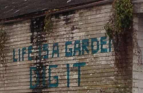 Dragonfly Tremé-Unique - Historic-Heated Salt Pool - Foto 78