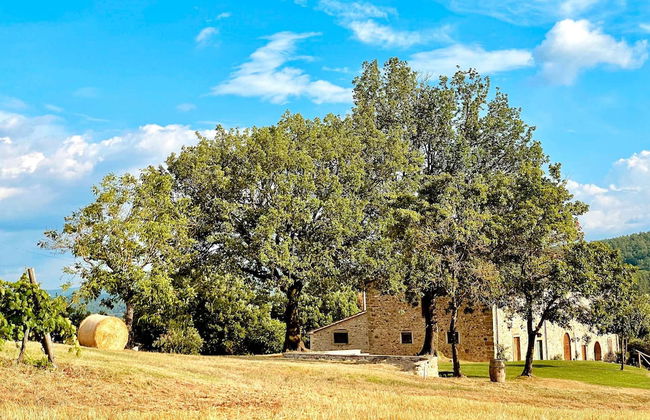 Palazzolo Resort - Anghiari - Photo 30
