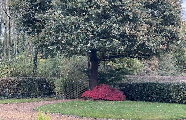 Charming 2-bed Cottage, Beautiful Views, Knutsford - Photo 22