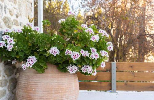 Merastri Cretan Home - Foto 2