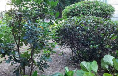 Casa Gazzano - Photo 51