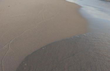 Oscoda Lake Huron Retreat Huron Sands Condo Bldg 2 - Foto 23