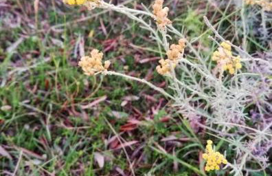 APARTMAN MAJSTOROVIĆ - Photo 20