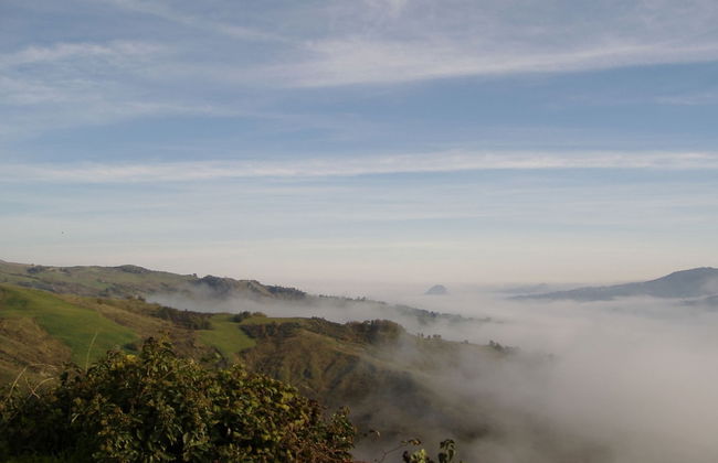 Apartment in Petrella Guidi With Garden Views - Photo 34