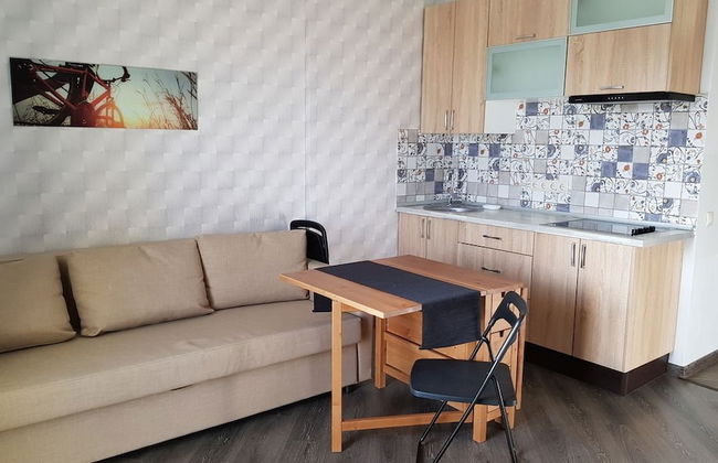 LOFT STUDIO Yubileyny 40-2 - Foto 1