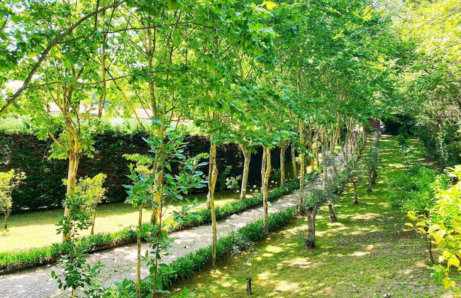 Lovely 1-bed Apartment in Santa Cruz do Douro - Photo 24