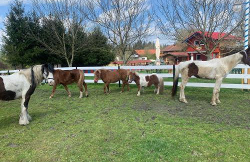 Ferienhaus Spielburg - Foto 78