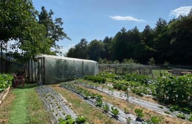 Agriturismo Vezzano - Foto 45