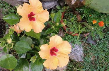 Gli Orti di Mulina le Apuane con parcheggio privato e WiFi - Foto 9