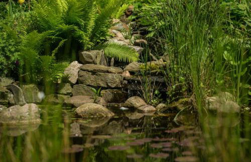 Zwei Ferienwohnungen Ankerpatz 70 qm mit Loggia & Puppenstube 50 qm mit Gartenterrasse in Hagenburg nähe Steinhuder Meer - Foto 46