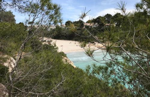 Ses Gavines-Cala Anguila Apartments - Foto 5