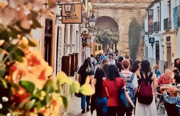 Galope Premium - Foto 33