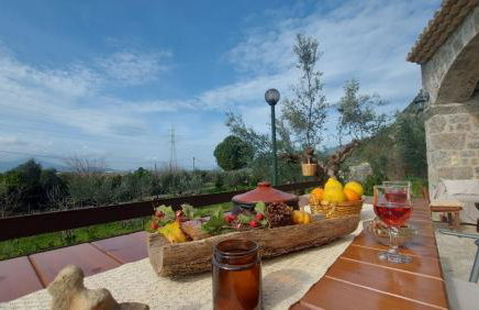 homonatura petrinum - Foto 20