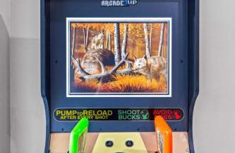 Modern Lodge on 6 acres - 15 mins to Camelback - Foto 32