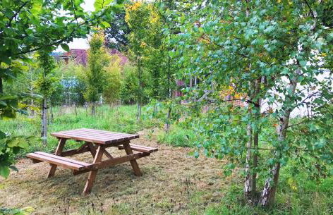 Mews Hill, 5 bedroom New Forest Holiday Cottage - Foto 42