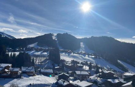 Le Gibannaz - Photo 14