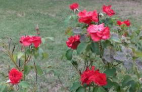 AI piedi del Gran Sasso - Foto 11