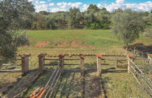 3 Bedroom Cozy Home In Vignanello - Foto 12