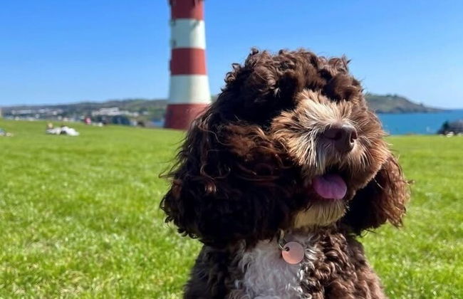 Southside Street Apartments - Foto 10