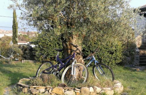 Montloubier - Photo 63