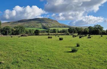 Peartree Cottage - Foto 26