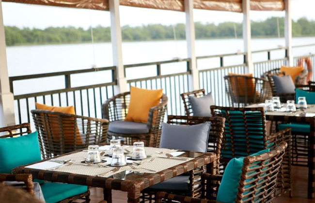 Marina by DAE - Photo 15