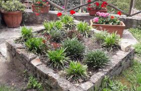 Il giardino del borgo - Foto 19