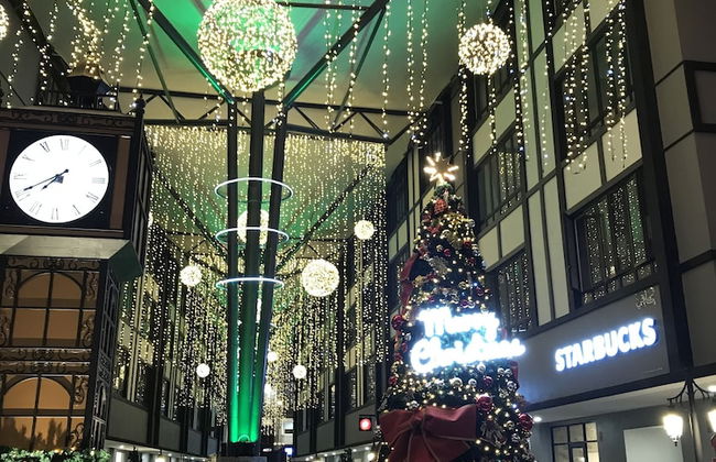 Vin Cottage Cameron Highlands - Foto 39