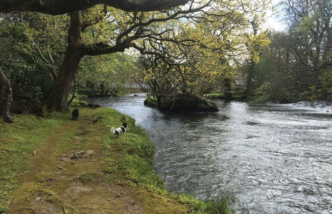 Upper Lake Chalet , Dog and Pet Friendly - Photo 13