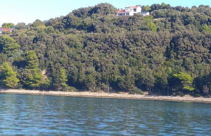 Apartment AMMIRARE Rab - Foto 11