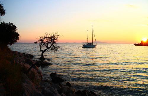 Apartmani Vesna - Foto 43