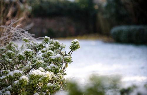 Rose Cottage in Lavenham - Foto 52
