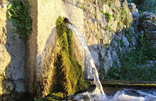 Casas Rurales Cortijos el Encinar - Foto 40