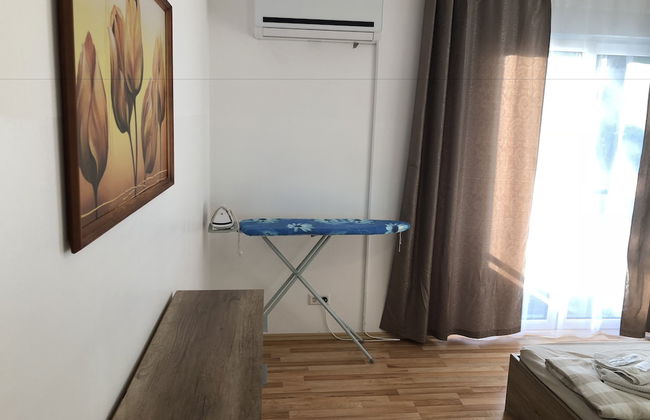 Sahara Falcon - Foto 12