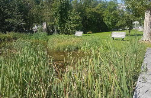 Ferienwohnung Toni - Foto 16