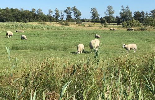 Nordseebrise - Photo 20