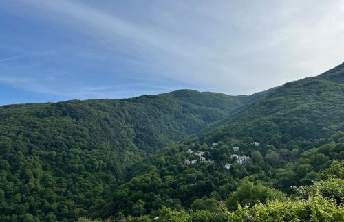 Alexias Home - Foto 57