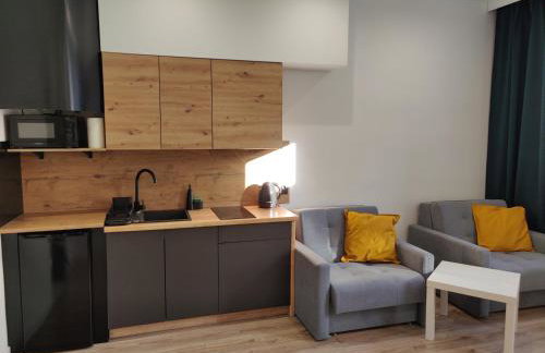 Noclegi Duet House Green Harmony Studio wejście na kod CENTRUM Ptak, Orientarium, Mandoria, Fala, Centrum Zdrowia Matki Polki, bezpłatny parking, klimatyzacja - Foto 13